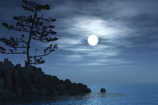 fegari moon